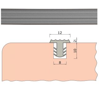 TIBU Trittstopp Treppenstufen, Anti-Rutsch-Profil Gleitschutz und Rutschgummi in Farbe Silber metallic